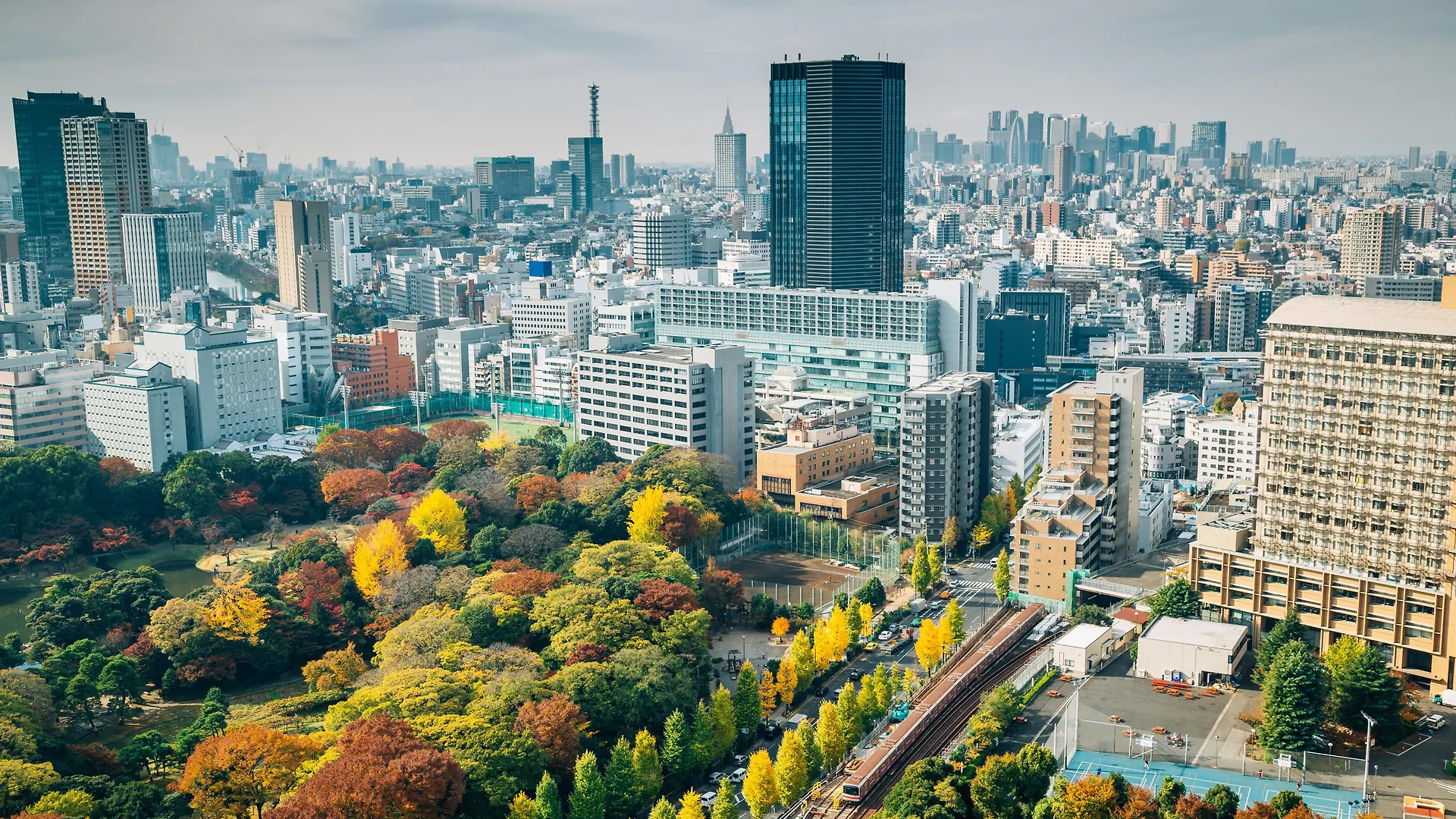 ***** ホテル キンプトン 新宿東京 東京都 日本